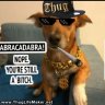 GiborEmc2