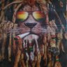 farmerlion