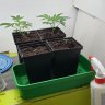 stoner_123