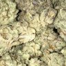 Geo420