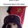 ojsbronco