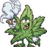 Growbro20