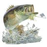 Grassfish