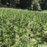 Kauai337