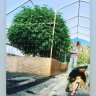 Oregonfarmgirl