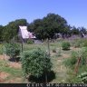 Thebarnlot