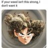 THC_DALLAS