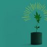 hemp4all