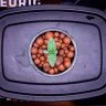 wellplanted