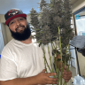 Robdoggrows420