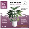 Emedicen