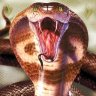 Trebor