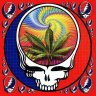 TieDyeTerps