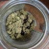 Weedster87
