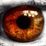 rustyretina