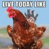 Chickenfarmer