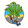 Saskbud306