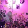 The_Propagators