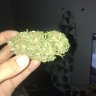 Bigred12