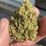 southernhigh420