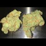 ZuuT420
