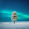 NoobGrower91