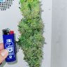 AANDMFARMS