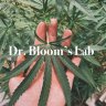 Drbloomslab
