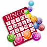 bingo