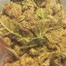 DocHoliday420