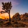 HighDesertScott