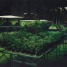 MrTakeYoKush891