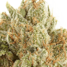 420dizzz83121