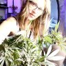 LocalWeedia