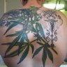 ProfessorIndica