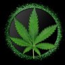 grow1