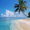 MrBeach