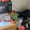 TheRookiebotanist