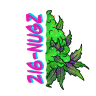 216Nugz