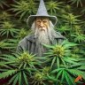 GreenGandalf