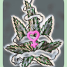 seedsower33