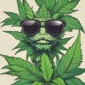 Illbill