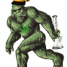 HashSquatch