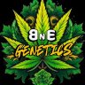 BnEgenetics