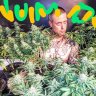 PlumdumB