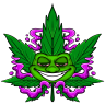 CannaChronicles