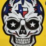 SouthTX420