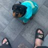 Growrotti