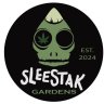 Sleestak33