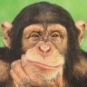 DarwinsMunky